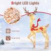 imageGoplus 3Piece Large Lighted Christmas Reindeer Family Light up Xmas Decorations w255 LED Lights ampamp Scarves Buck Doe ampamp Fawn PreLit Outdoor Deer Set for Indoor ampamp Outdoor DisplayGolden