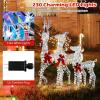 imageGoplus 3Piece Large Lighted Christmas Reindeer Family Light up Xmas Decorations w255 LED Lights ampamp Scarves Buck Doe ampamp Fawn PreLit Outdoor Deer Set for Indoor ampamp Outdoor DisplayCold White Laser