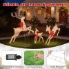 imageGoplus 3Piece Large Lighted Christmas Reindeer Family Light up Xmas Decorations w255 LED Lights ampamp Scarves Buck Doe ampamp Fawn PreLit Outdoor Deer Set for Indoor ampamp Outdoor DisplayShimmery Gold
