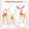 imageGoplus 3Piece Large Lighted Christmas Reindeer Family Light up Xmas Decorations w255 LED Lights ampamp Scarves Buck Doe ampamp Fawn PreLit Outdoor Deer Set for Indoor ampamp Outdoor DisplayGolden