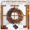 imageGoplus 24 Black Christmas Wreath Prelit Artificial Halloween Wreath w 35 Purple LED Lights Builtin Waterproof Timer Front Door Wreath for Indoor Outdoor Home Party DecorationBrown