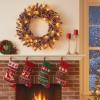 image:imageGoplus 24 Inch PreLit Christmas Wreath Battery Operated Lighted Artificial Winter Xmas Wreaths for Front Door with Pine Cones Red Berries 20 Warm White LED Lights Windows Wall Mantel DecorBrown