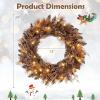 image:imageGoplus 24 Inch PreLit Christmas Wreath Battery Operated Lighted Artificial Winter Xmas Wreaths for Front Door with Pine Cones Red Berries 20 Warm White LED Lights Windows Wall Mantel DecorBrown