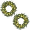 image:imageGoplus 24 Inch PreLit Christmas Wreath Battery Operated Lighted Artificial Winter Xmas Wreaths for Front Door with Pine Cones Red Berries 20 Warm White LED Lights Windows Wall Mantel DecorGreen
