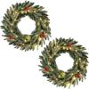 image:imageGoplus 24 Inch PreLit Christmas Wreath Battery Operated Lighted Artificial Winter Xmas Wreaths for Front Door with Pine Cones Red Berries 20 Warm White LED Lights Windows Wall Mantel DecorGreen With Red Berries