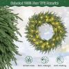 image:imageGoplus 24 Inch PreLit Christmas Wreath Battery Operated Lighted Artificial Winter Xmas Wreaths for Front Door with Pine Cones Red Berries 20 Warm White LED Lights Windows Wall Mantel DecorGreen
