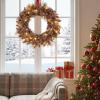 image:imageGoplus 24 Inch PreLit Christmas Wreath Battery Operated Lighted Artificial Winter Xmas Wreaths for Front Door with Pine Cones Red Berries 20 Warm White LED Lights Windows Wall Mantel DecorBrown
