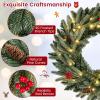 image:imageGoplus 24 Inch PreLit Christmas Wreath Battery Operated Lighted Artificial Winter Xmas Wreaths for Front Door with Pine Cones Red Berries 20 Warm White LED Lights Windows Wall Mantel DecorGreen With Red Berries