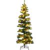 Green With Pine Cones