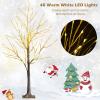 image:imageGoplus 4ft Lighted Twig Birch Tree with 48 Warm White LED Fairy Lights PreLit Artificial Christmas Tree White Birch Tree Indoor Outdoor Home Thanksgiving Christmas Holiday Decoration4 FT