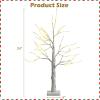 image:imageGoplus 4ft Lighted Twig Birch Tree with 48 Warm White LED Fairy Lights PreLit Artificial Christmas Tree White Birch Tree Indoor Outdoor Home Thanksgiving Christmas Holiday Decoration2 FT