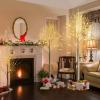image:imageGoplus 4ft Lighted Twig Birch Tree with 48 Warm White LED Fairy Lights PreLit Artificial Christmas Tree White Birch Tree Indoor Outdoor Home Thanksgiving Christmas Holiday Decoration4 FT