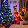 image:imageGoplus 9ft Artificial Prelit Christmas Tree Premium Spruce Hinged Tree with 700 LED Lights and Solid Metal Stand ULCertified Transformer7ft 6in
