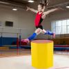 image:imageGoplus 245 x 26 Octagon Gymnastics Mat Skill Shape Tumbling Mat wWaterproof Zippered Cover amp Thick Filling Somersault Backbend Trainer for Cheerleading amp Martial ArtsYellow