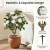 image:imageGoplus 275 Artificial Cypress Topiary Trees Set of 2 Faux Topiary Bushes Shrubs with Ground Spikes Indoor Outdoor SunResistant Fake Evergreen Shrub Plants for Front Porch Patio Home DecorationWhite Rose