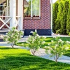 image:imageGoplus 275 Artificial Cypress Topiary Trees Set of 2 Faux Topiary Bushes Shrubs with Ground Spikes Indoor Outdoor SunResistant Fake Evergreen Shrub Plants for Front Porch Patio Home DecorationWhite Flowers