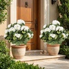 image:imageGoplus 275 Artificial Cypress Topiary Trees Set of 2 Faux Topiary Bushes Shrubs with Ground Spikes Indoor Outdoor SunResistant Fake Evergreen Shrub Plants for Front Porch Patio Home DecorationBegonia