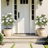 image:imageGoplus 275 Artificial Cypress Topiary Trees Set of 2 Faux Topiary Bushes Shrubs with Ground Spikes Indoor Outdoor SunResistant Fake Evergreen Shrub Plants for Front Porch Patio Home DecorationWhite Rose