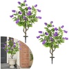 Purple Flowers