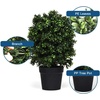 image:imageGoplus 2Ft Artificial Boxwood Topiary Ball Tree 2 Pack Faux Round Shrubs Bushes Decoration with UVProof Realistic Leaves Fake Potted Plants for Front Porch Home Office Outdoor Indoor Decor
