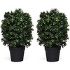 image:imageGoplus 2Ft Artificial Boxwood Topiary Ball Tree 2 Pack Faux Round Shrubs Bushes Decoration with UVProof Realistic Leaves Fake Potted Plants for Front Porch Home Office Outdoor Indoor Decor
